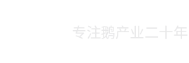 六安龍翔美食王禽業有限公司